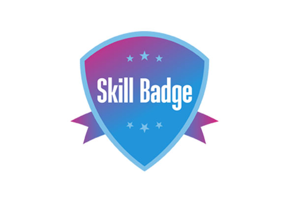 skill-badge-logo-proje